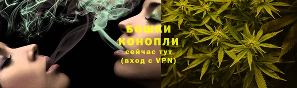 стаф Покровск