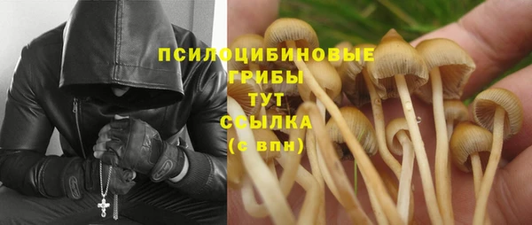 кристаллы Аркадак