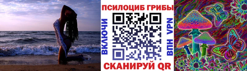 Псилоцибиновые грибы мухоморы  ОМГ ОМГ вход  Куйбышев  купить  