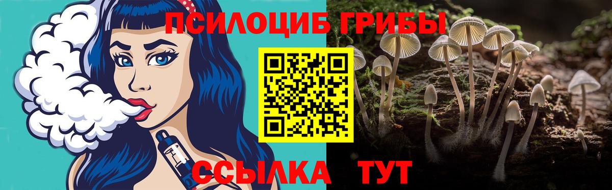 Куйбышев  Галлюциногенные грибы Magic Shrooms  Вход с VPN  Псилоцибиновые грибы Psilocybine cubensis 